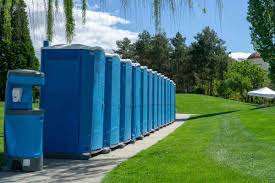 Best Portable Restroom Removal and Pickup  in Agua Dulce, TX