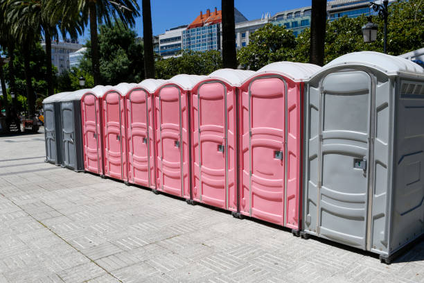 Best Portable Toilets with Baby Changing Stations  in Agua Dulce, TX